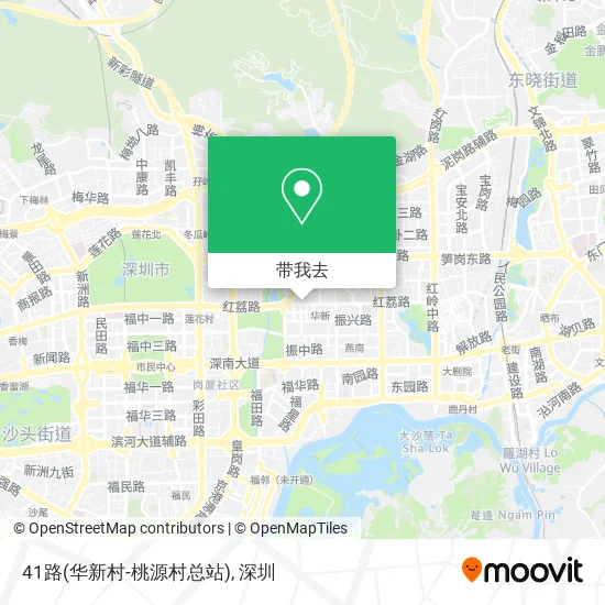 41路(华新村-桃源村总站)地图