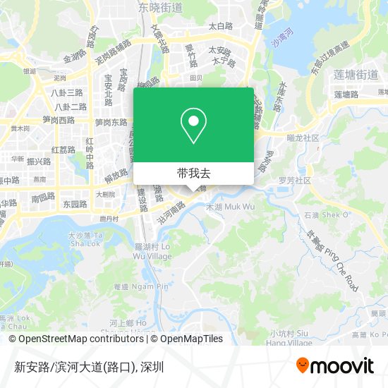 新安路/滨河大道(路口)地图