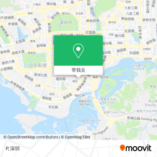 P地图