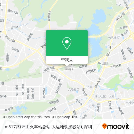 m317路(坪山火车站总站-大运地铁接驳站)地图