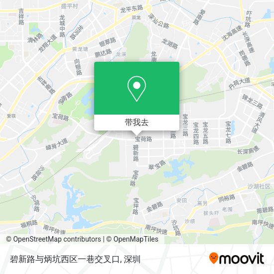 碧新路与炳坑西区一巷交叉口地图