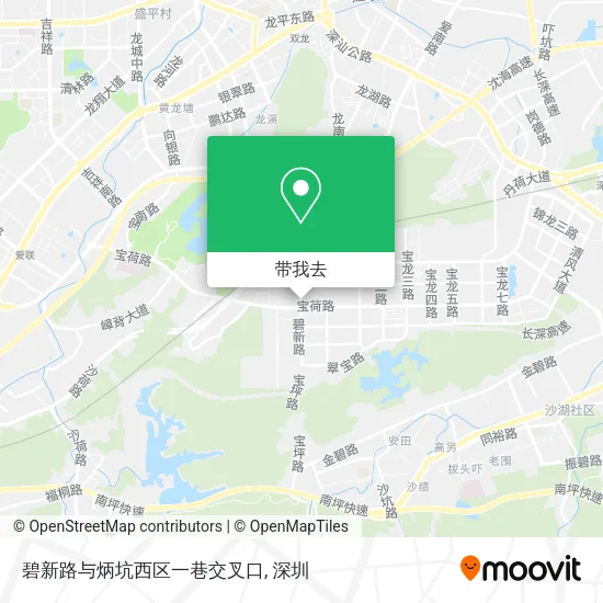 碧新路与炳坑西区一巷交叉口地图
