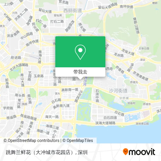 跳舞兰鲜花（大冲城市花园店）地图