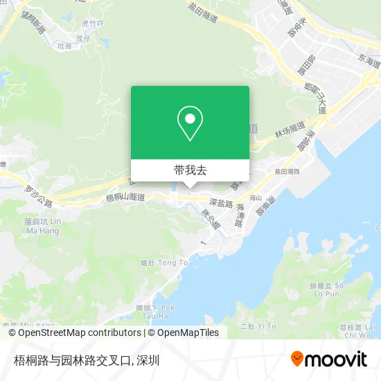 梧桐路与园林路交叉口地图