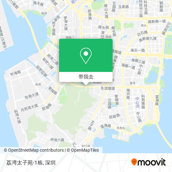 荔湾太子苑-1栋地图