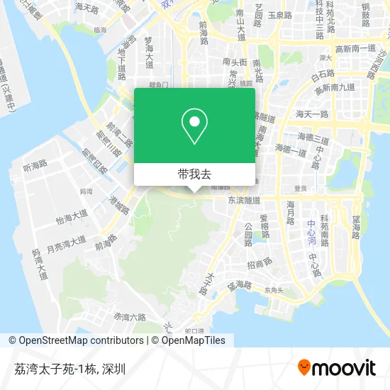 荔湾太子苑-1栋地图