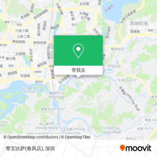 尊宝比萨(春风店)地图