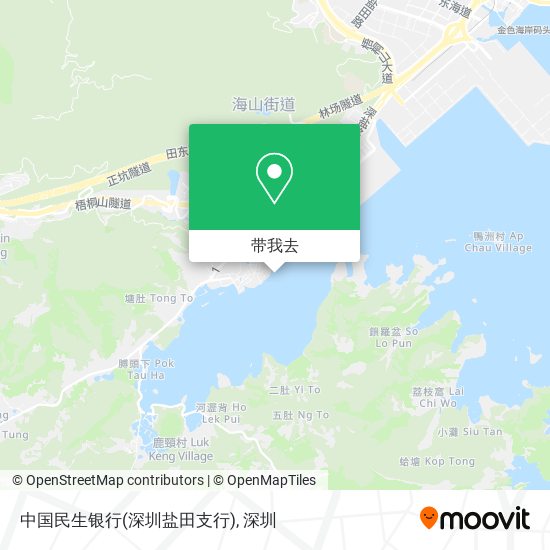 中国民生银行(深圳盐田支行)地图