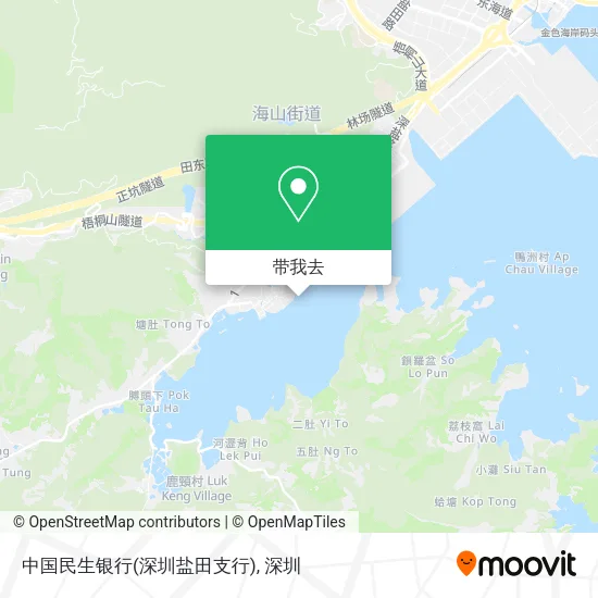 中国民生银行(深圳盐田支行)地图