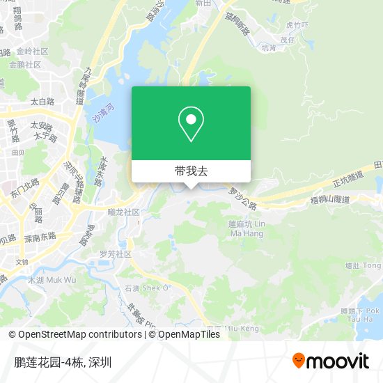 鹏莲花园-4栋地图