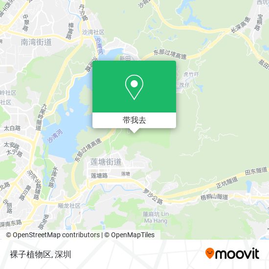 裸子植物区地图