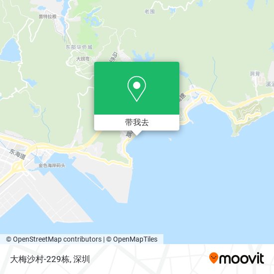 大梅沙村-229栋地图