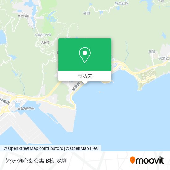 鸿洲·湖心岛公寓-B栋地图