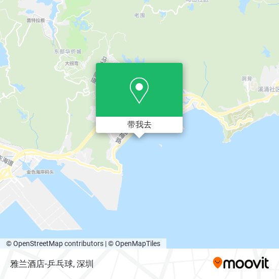 雅兰酒店-乒乓球地图