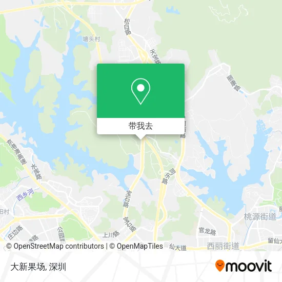 大新果场地图