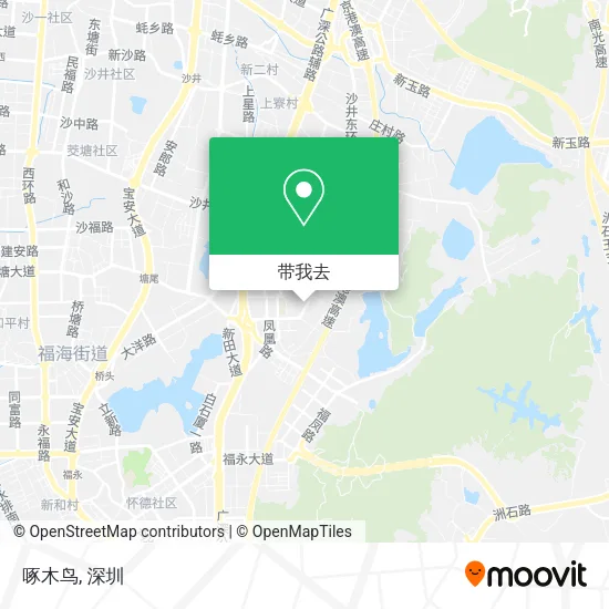 啄木鸟地图