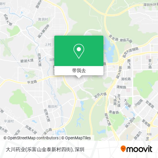大川药业(乐富山金泰新村四街)地图