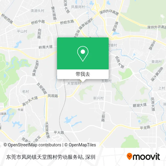 东莞市凤岗镇天堂围村劳动服务站地图