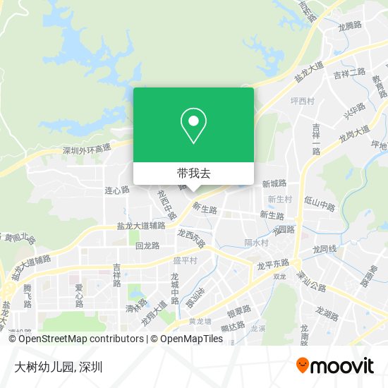 大树幼儿园地图