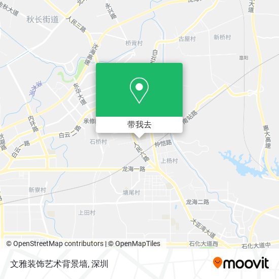 文雅装饰艺术背景墙地图