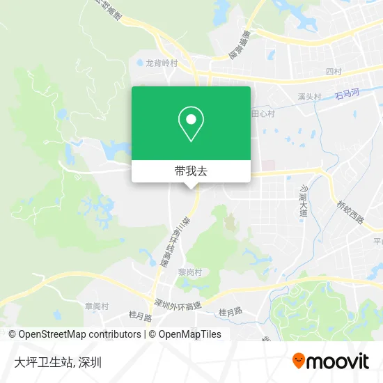 大坪卫生站地图