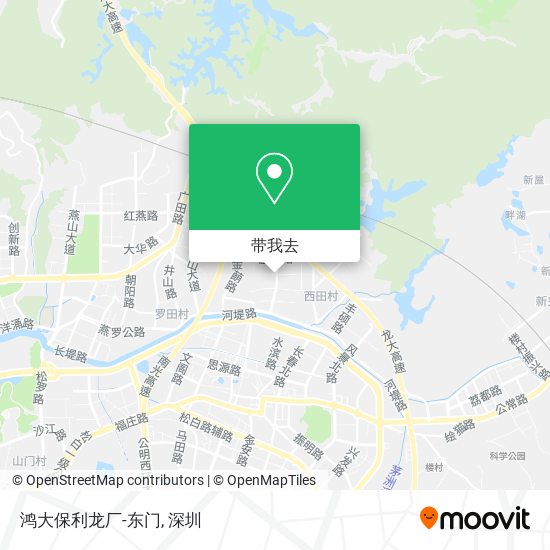 鸿大保利龙厂-东门地图