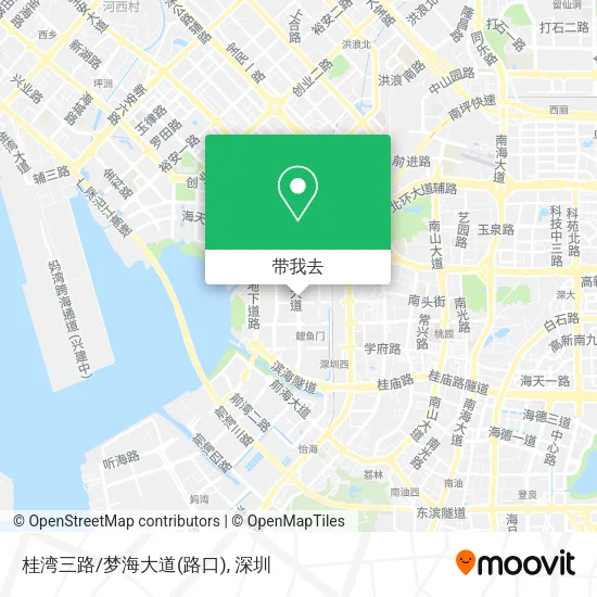 桂湾三路/梦海大道(路口)地图
