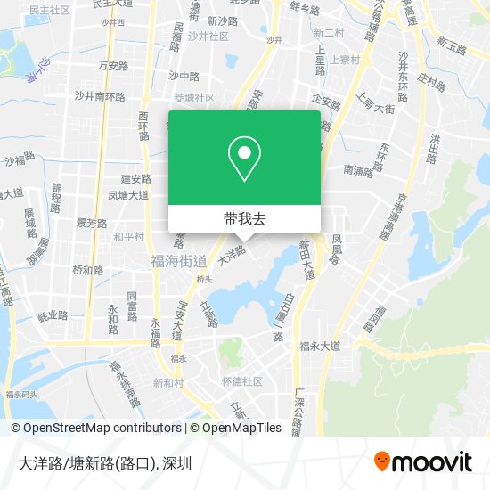 大洋路/塘新路(路口)地图