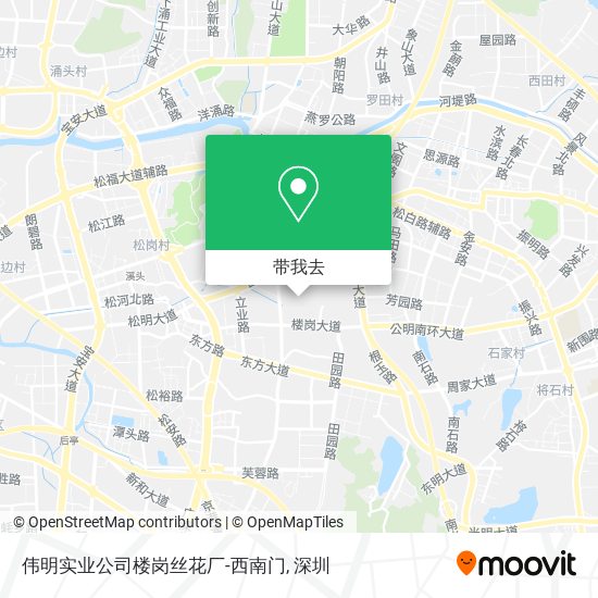 伟明实业公司楼岗丝花厂-西南门地图