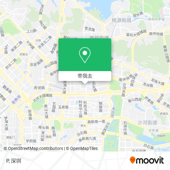 P地图