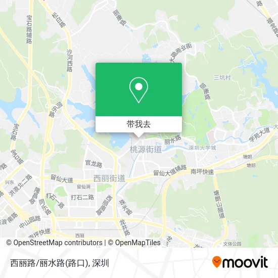 西丽路/丽水路(路口)地图