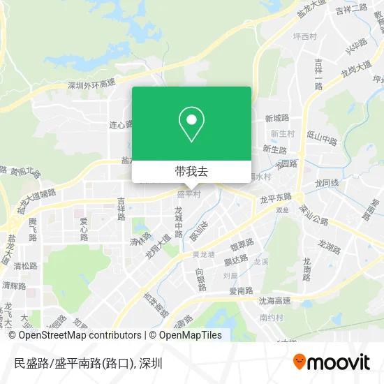 民盛路/盛平南路(路口)地图