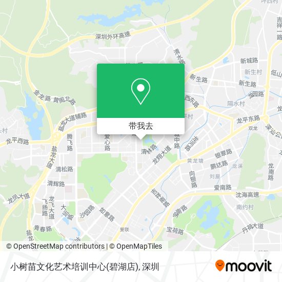 小树苗文化艺术培训中心(碧湖店)地图