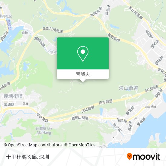 十里杜鹃长廊地图