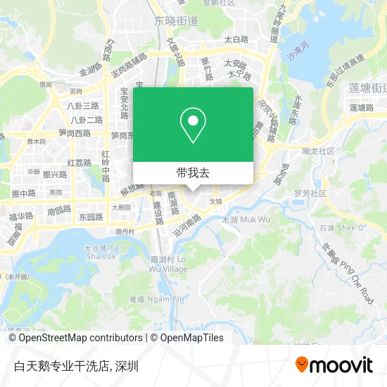 白天鹅专业干洗店地图