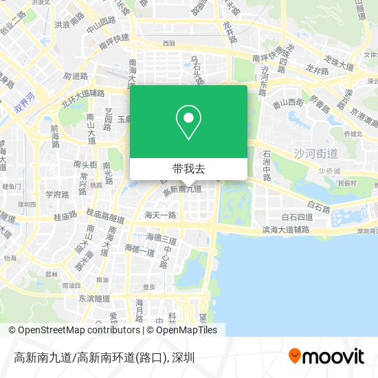 高新南九道/高新南环道(路口)地图