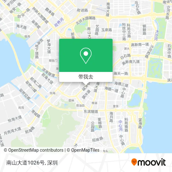 南山大道1026号地图