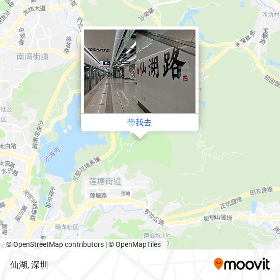 仙湖地图