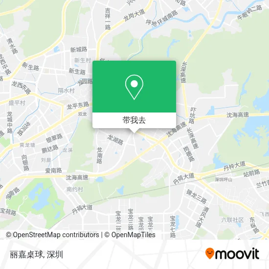 丽嘉桌球地图