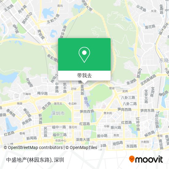 中盛地产(林园东路)地图