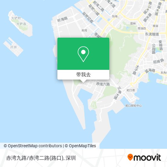 赤湾九路/赤湾二路(路口)地图