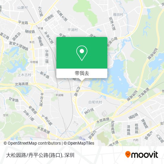 大松园路/丹平公路(路口)地图