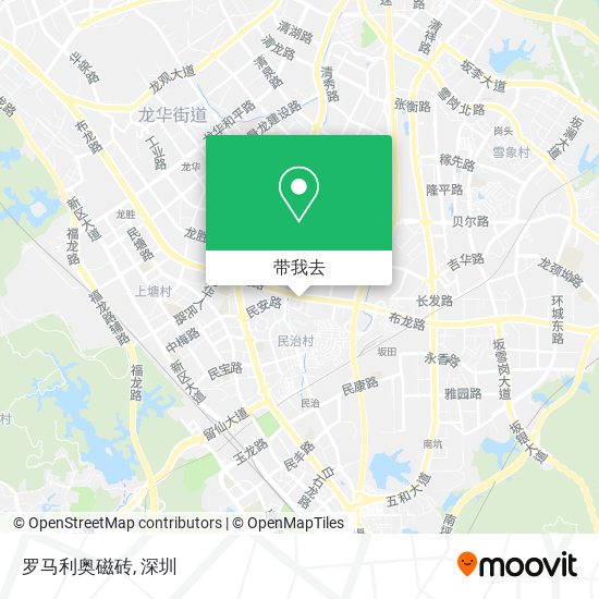 罗马利奥磁砖地图
