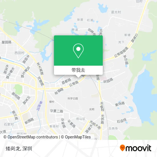矮岗龙地图
