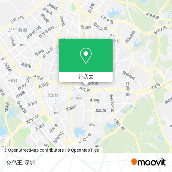 兔鸟王地图