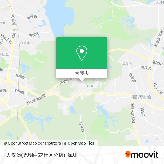 大汉堡(光明白花社区分店)地图