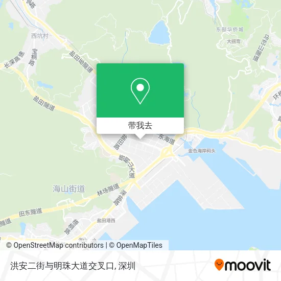 洪安二街与明珠大道交叉口地图