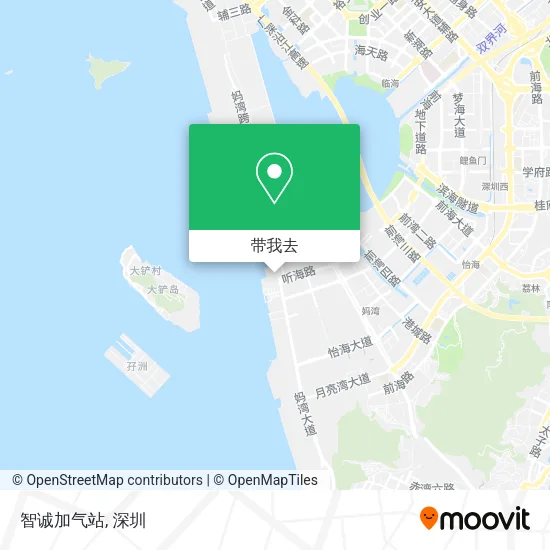 智诚加气站地图