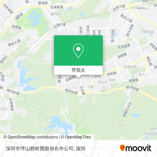 深圳市坪山碧岭围股份合作公司地图