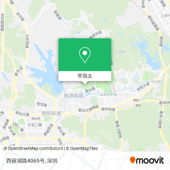西丽湖路4065号地图